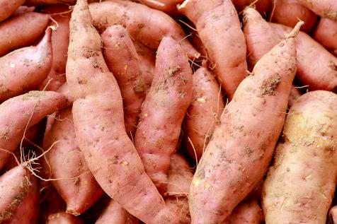 Best Organic Food in Alabama