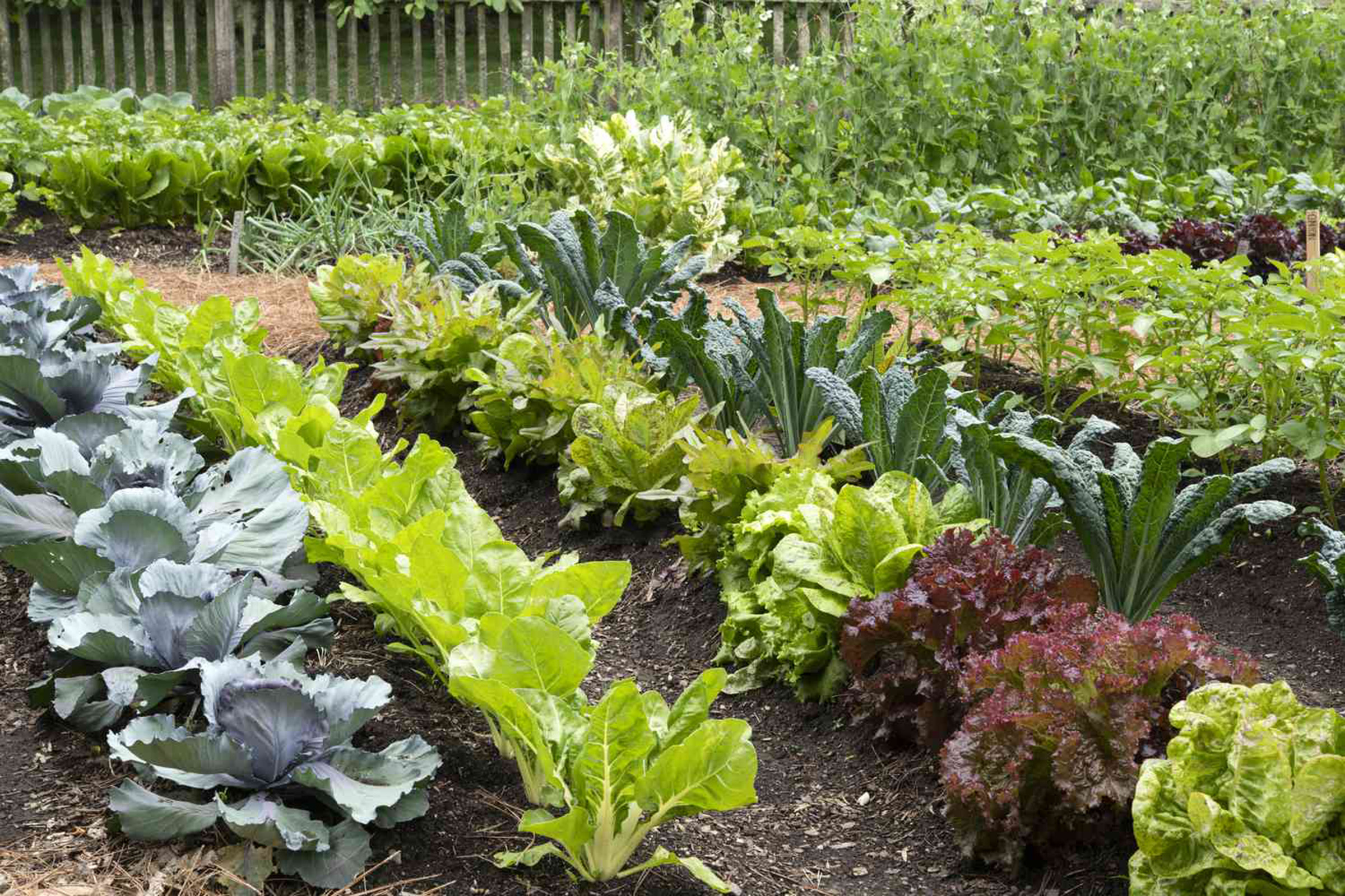 Best Organic Farm Produce in Alabama