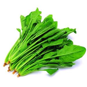 iamfarms-spinach organic