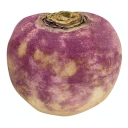 iamfarms-turnip organic