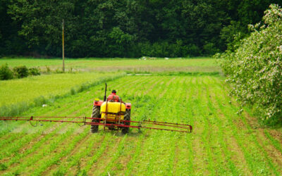 Organic Fruits and Vegetables in Alabama